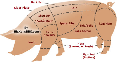 Diagram of where the different pork cuts come from on a hog.